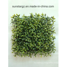 PE Boxwood Artificial Turf Green Wall Panel for Home Decoration with SGS Certificate (48788)